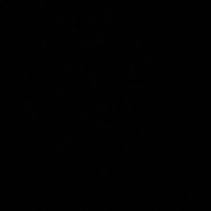 Meet your Posher, Anika